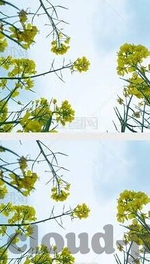 7m比分足球比分-探秘7m比分，足球世界的实时脉搏与深度解析